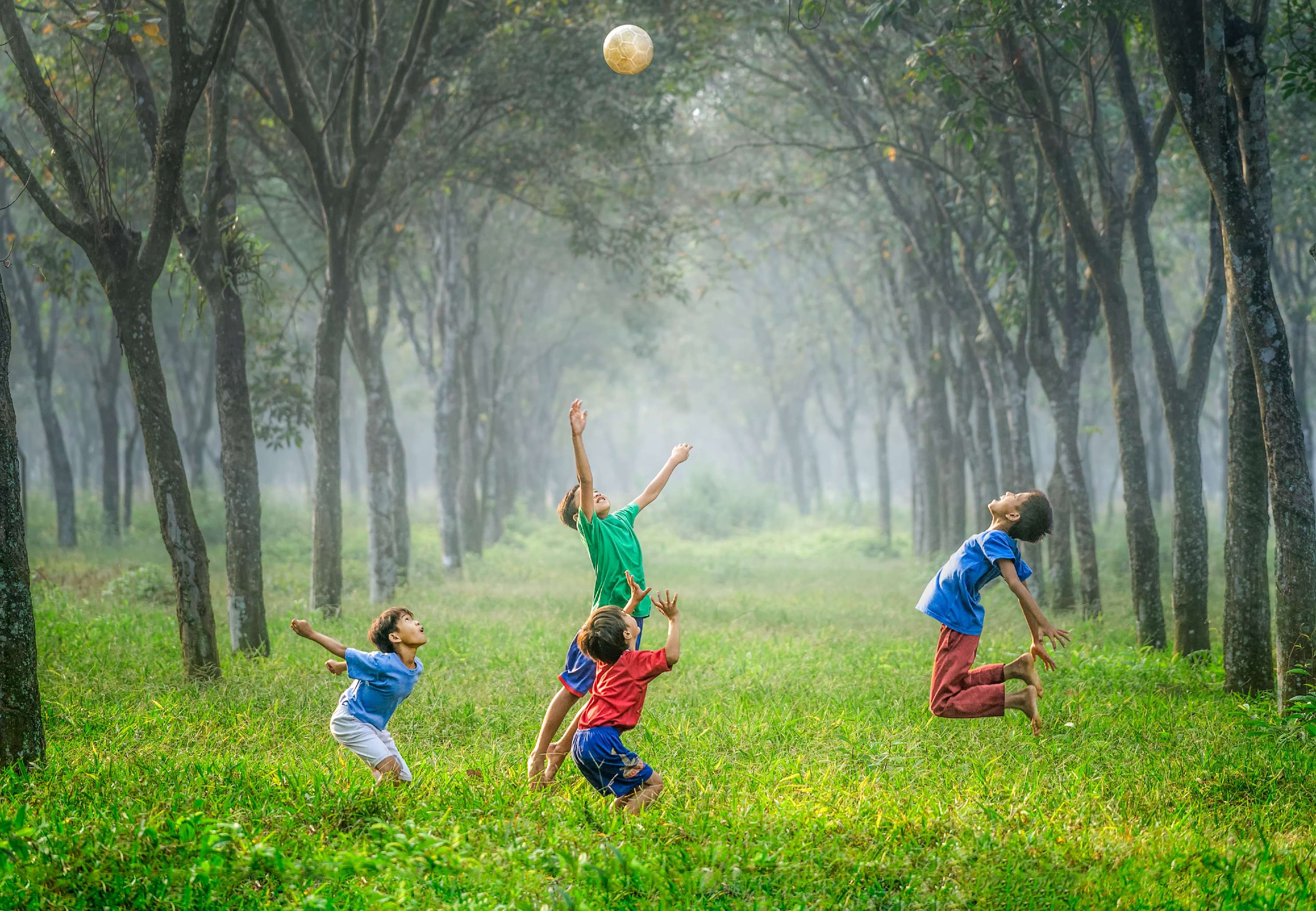 Spielende Kinder auf der Wiese.