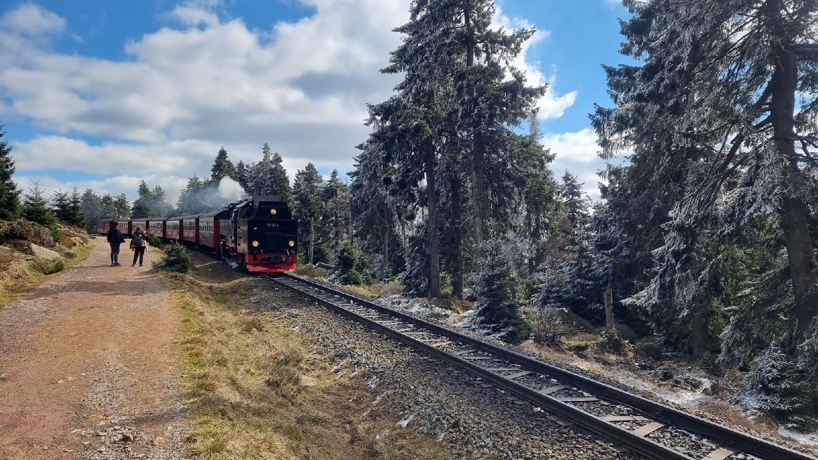 Schmalspureisenbahn auf dem Weg zum Brocken im Harz